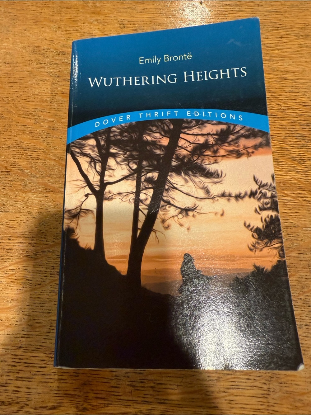Emily Brontë Wuthering Heights Book (Annotated)
